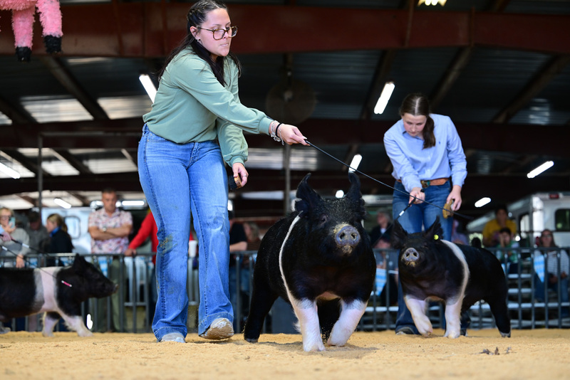 25GTT- RingAHamps-8541.jpg