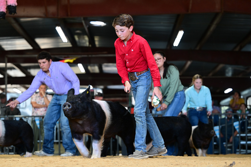 25GTT- RingAHamps-8542.jpg