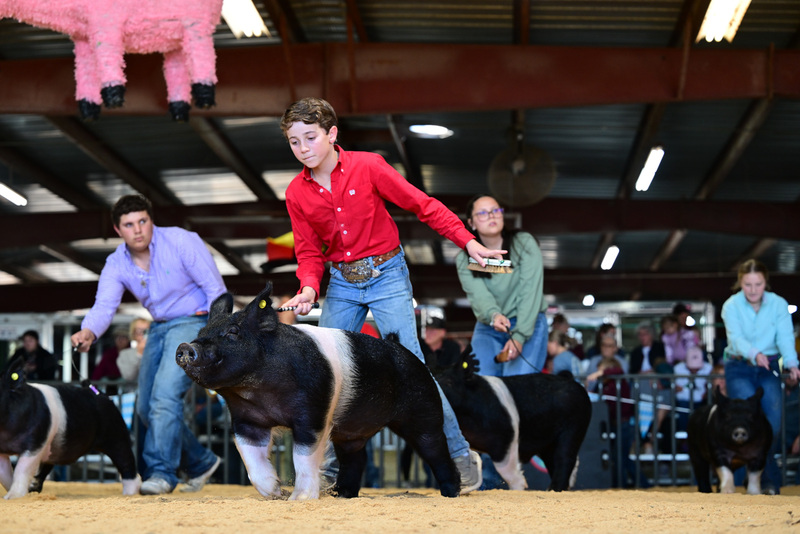 25GTT- RingAHamps-8543.jpg