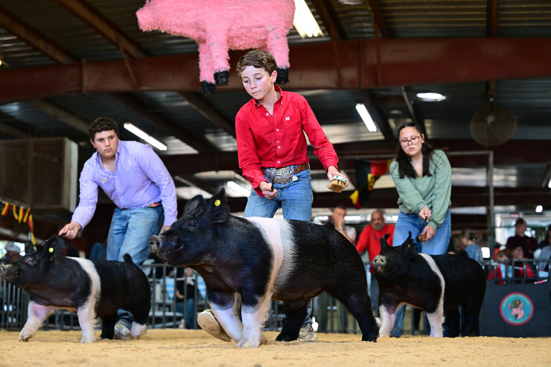 25GTT- RingAHamps-8544.jpg