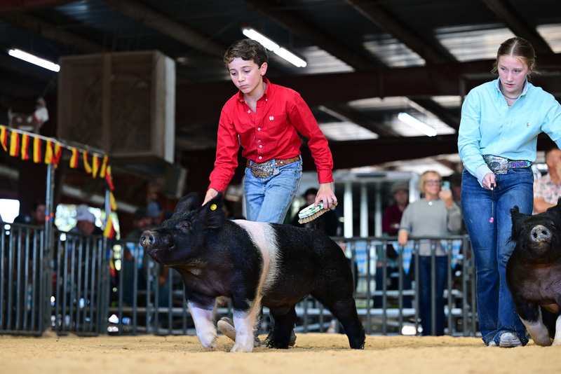 25GTT- RingAHamps-8546.jpg