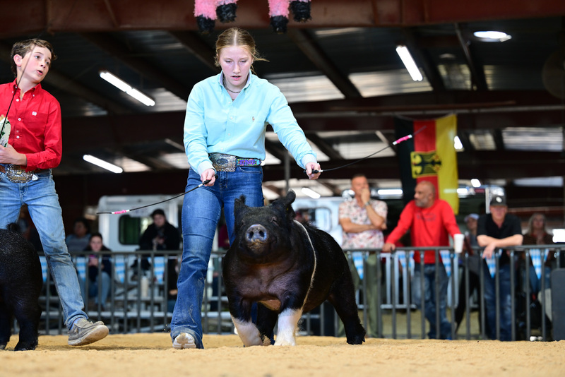 25GTT- RingAHamps-8547.jpg