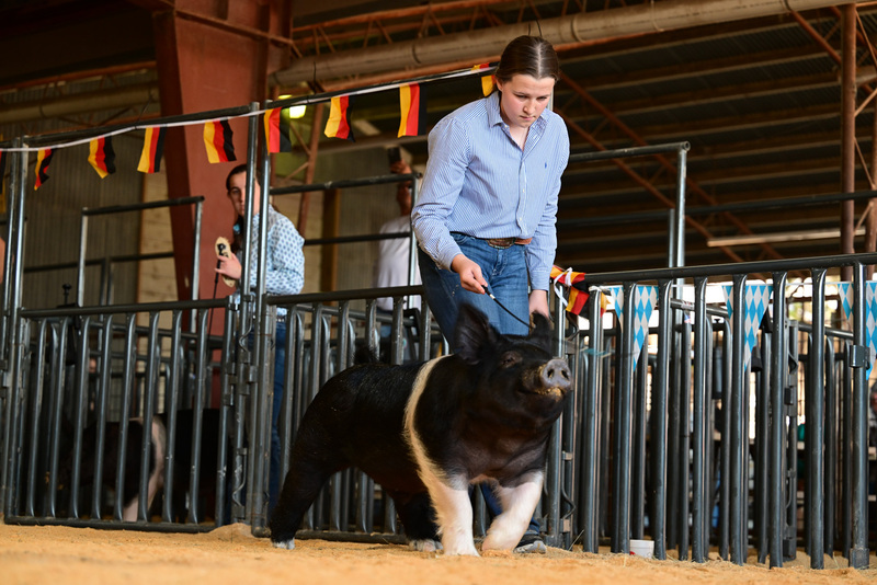 25GTT- RingAHamps-8548.jpg