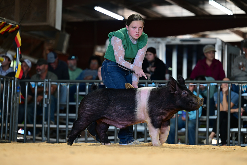 25GTT- RingAHamps-8550.jpg