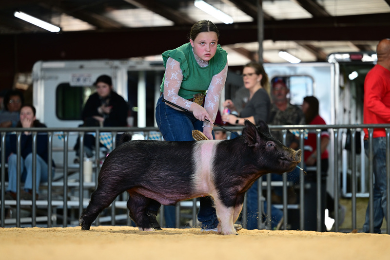 25GTT- RingAHamps-8551.jpg