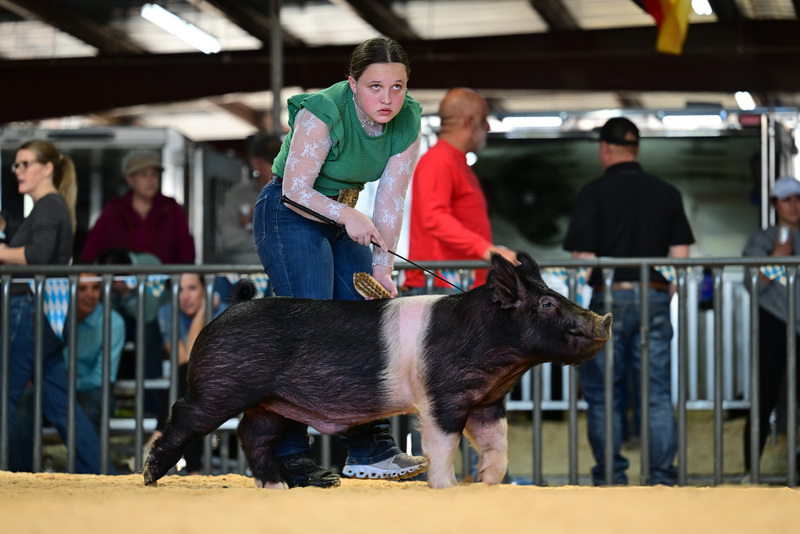 25GTT- RingAHamps-8552.jpg