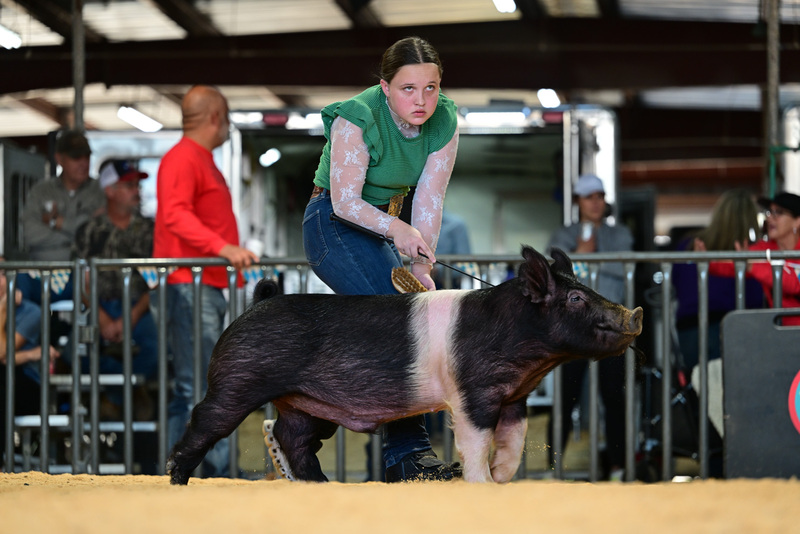 25GTT- RingAHamps-8553.jpg