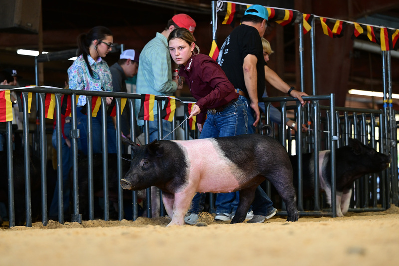 25GTT- RingAHamps-8556.jpg