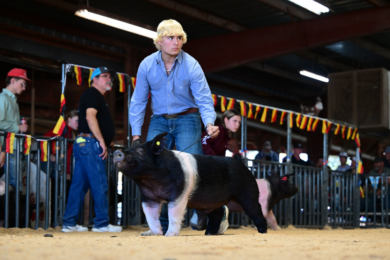 25GTT- RingAHamps-8557.jpg