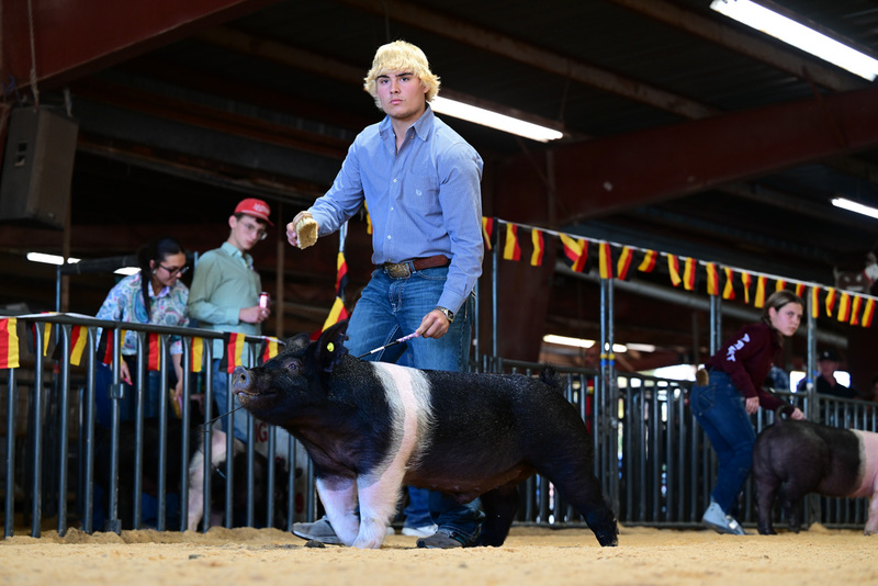 25GTT- RingAHamps-8558.jpg