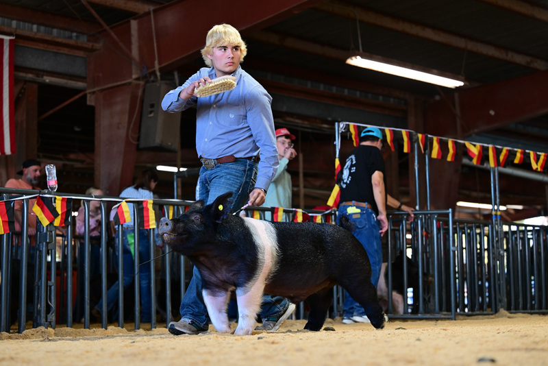 25GTT- RingAHamps-8559.jpg