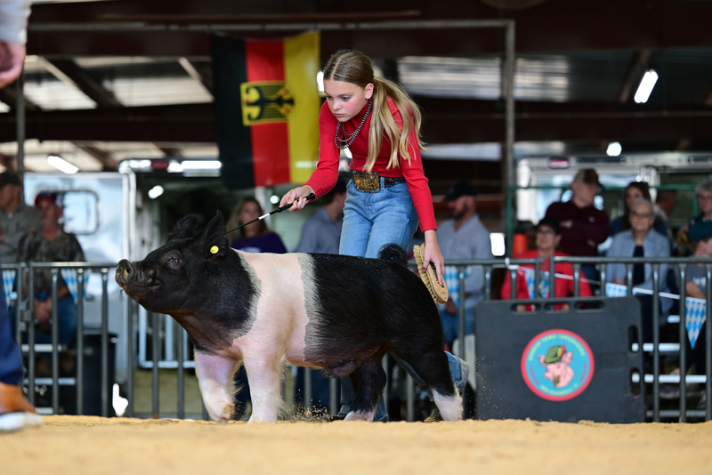 25GTT- RingAHamps-8560.jpg