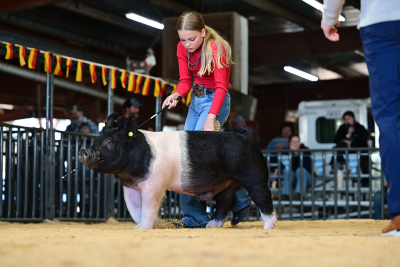 25GTT- RingAHamps-8561.jpg