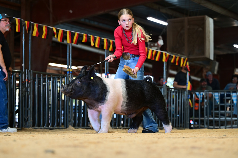 25GTT- RingAHamps-8562.jpg