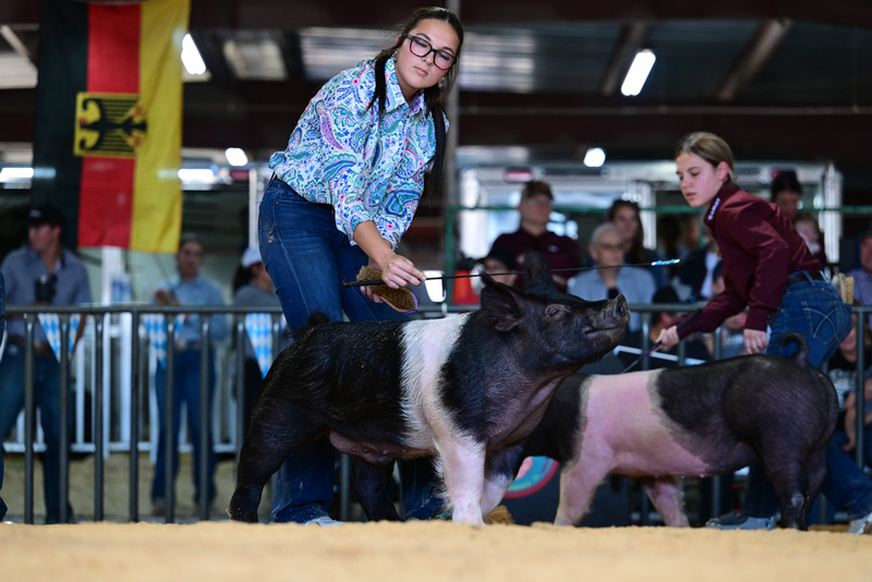 25GTT- RingAHamps-8563.jpg