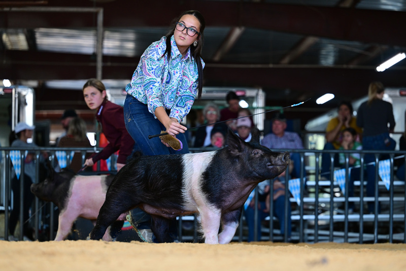 25GTT- RingAHamps-8564.jpg