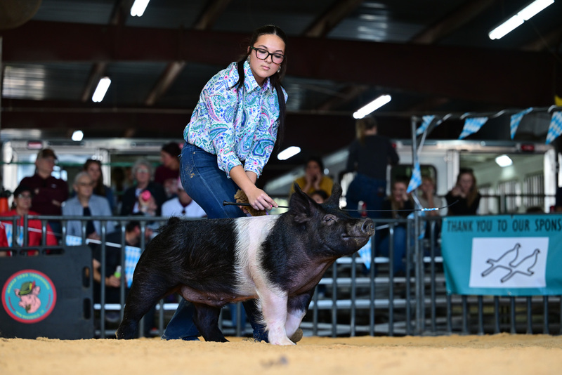 25GTT- RingAHamps-8565.jpg