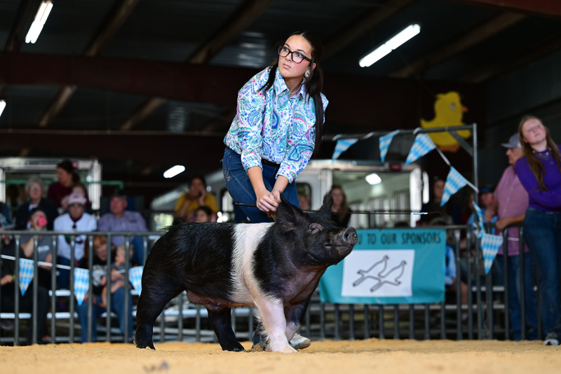 25GTT- RingAHamps-8566.jpg