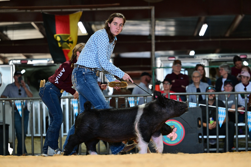 25GTT- RingAHamps-8567.jpg