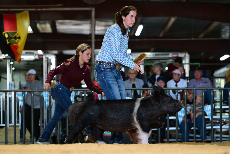 25GTT- RingAHamps-8568.jpg