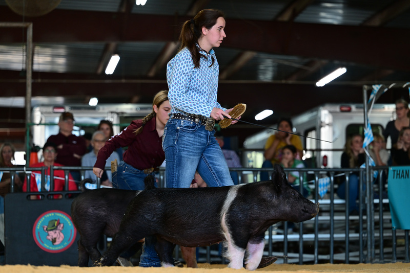 25GTT- RingAHamps-8569.jpg