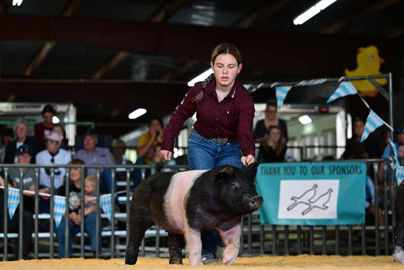 25GTT- RingAHamps-8571.jpg