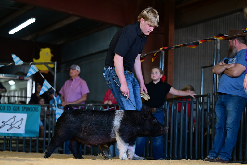 25GTT- RingAHamps-8572.jpg