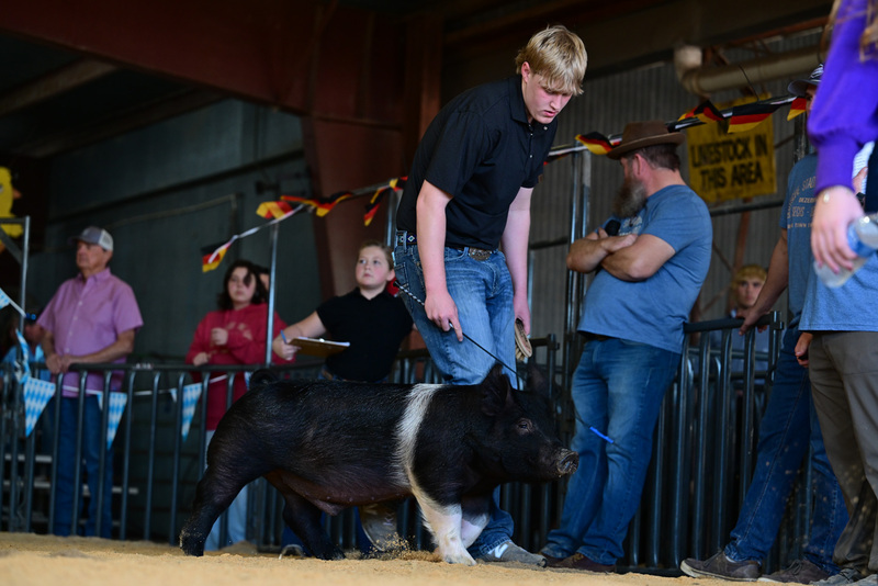 25GTT- RingAHamps-8573.jpg