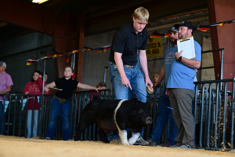 25GTT- RingAHamps-8574.jpg