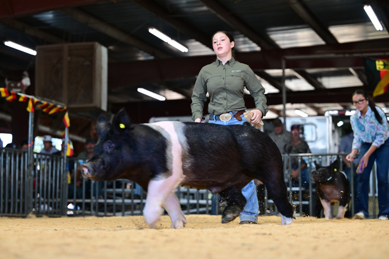 25GTT- RingAHamps-8575.jpg