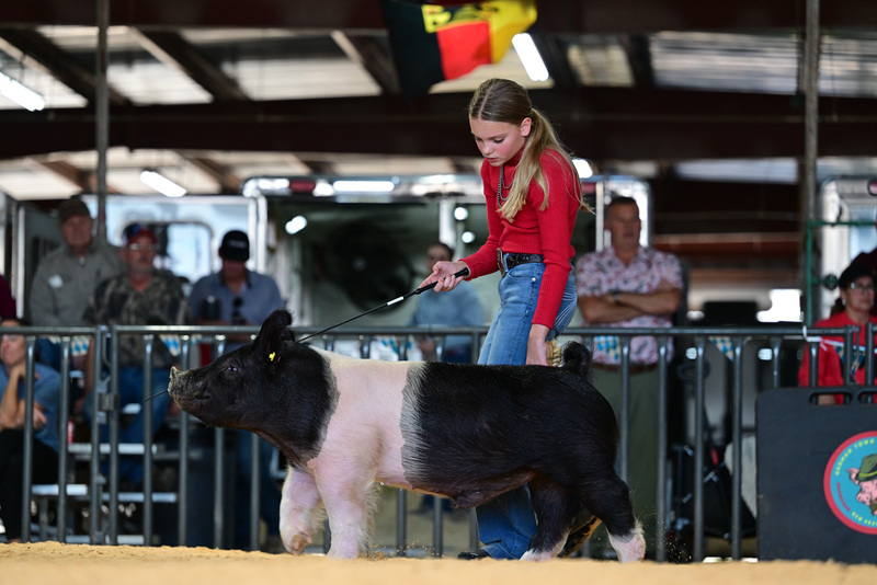 25GTT- RingAHamps-8577.jpg