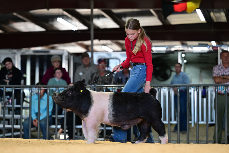 25GTT- RingAHamps-8578.jpg