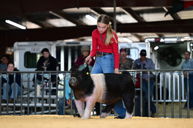 25GTT- RingAHamps-8579.jpg