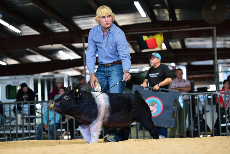 25GTT- RingAHamps-8581.jpg