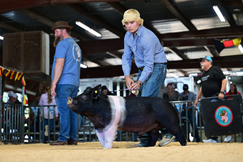 25GTT- RingAHamps-8582.jpg