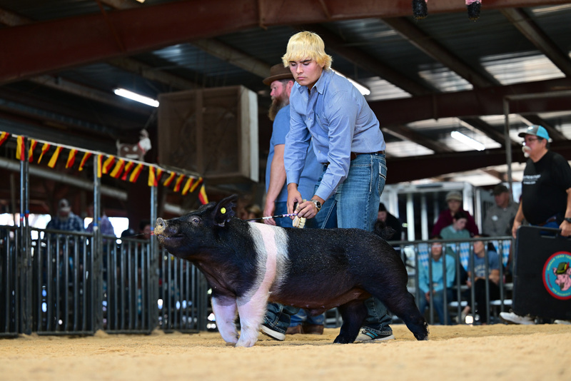 25GTT- RingAHamps-8583.jpg