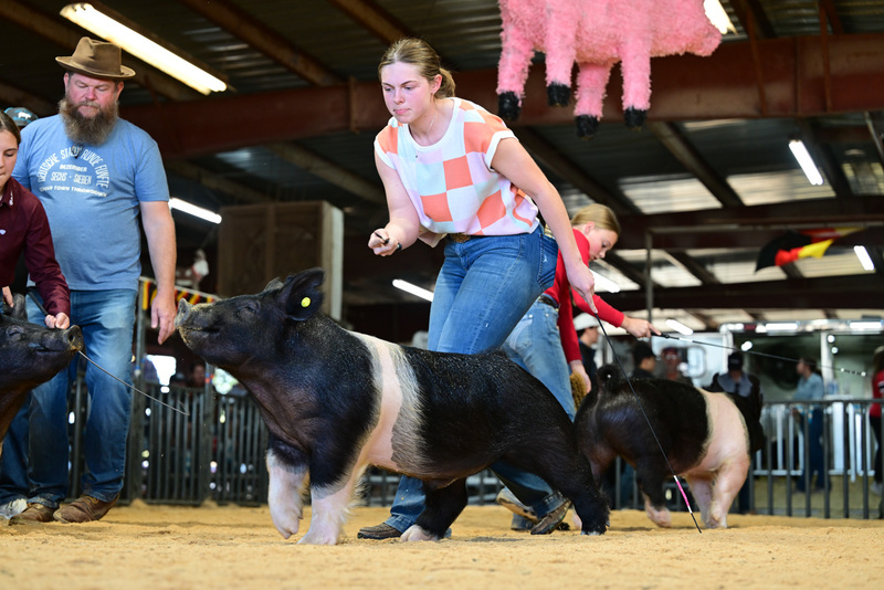 25GTT- RingAHamps-8584.jpg