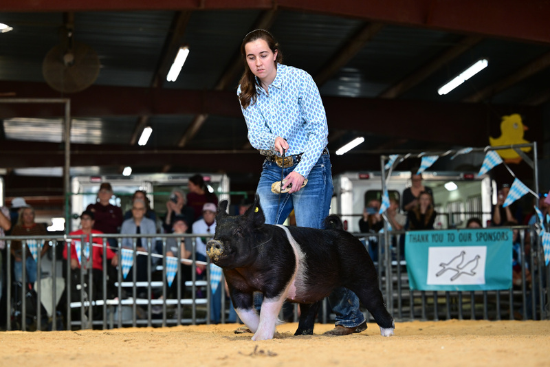 25GTT- RingAHamps-8585.jpg