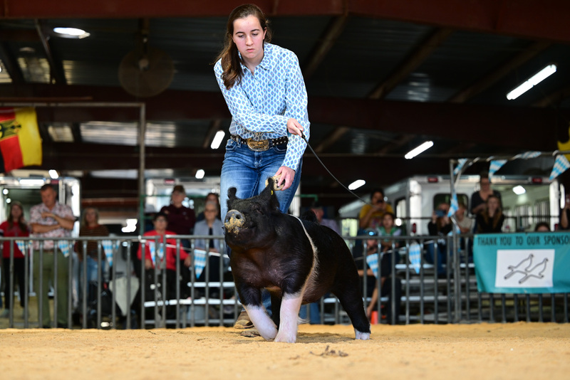 25GTT- RingAHamps-8586.jpg