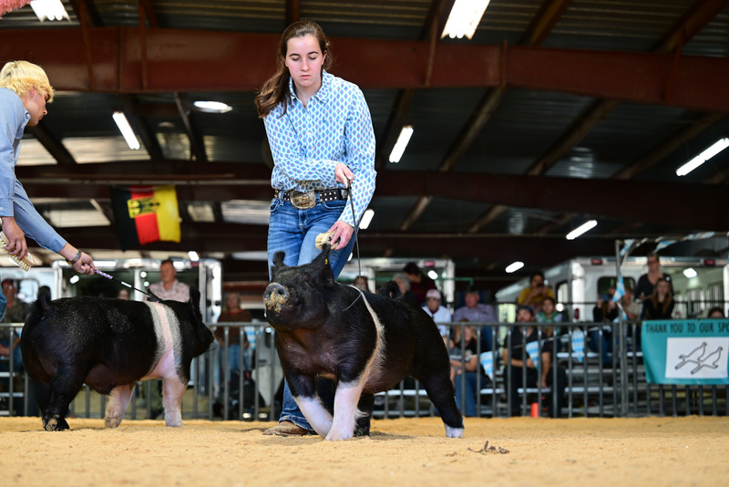 25GTT- RingAHamps-8587.jpg