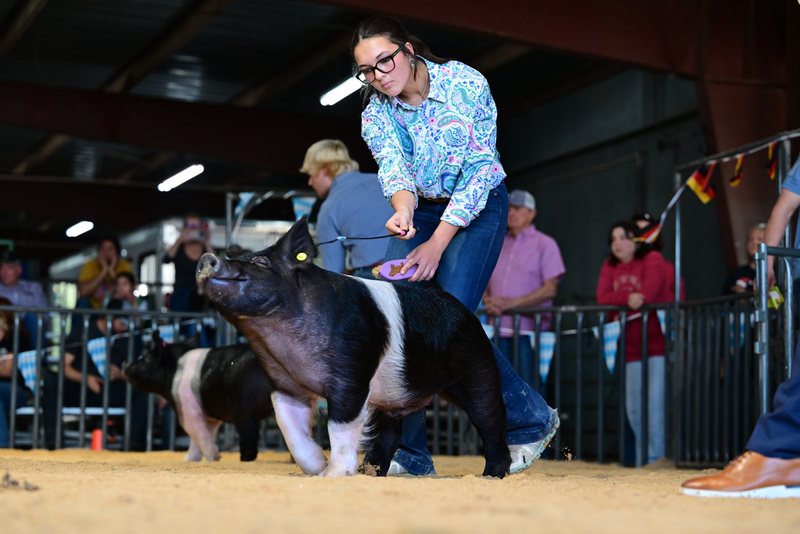 25GTT- RingAHamps-8589.jpg