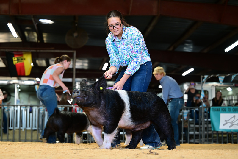 25GTT- RingAHamps-8591.jpg