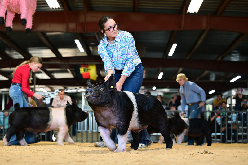 25GTT- RingAHamps-8592.jpg