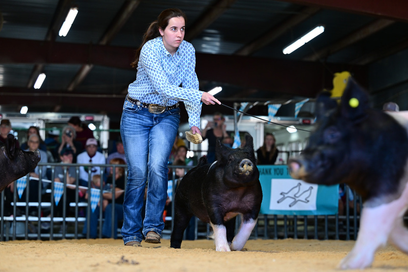 25GTT- RingAHamps-8593.jpg