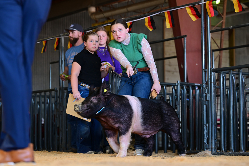 25GTT- RingAHamps-8594.jpg