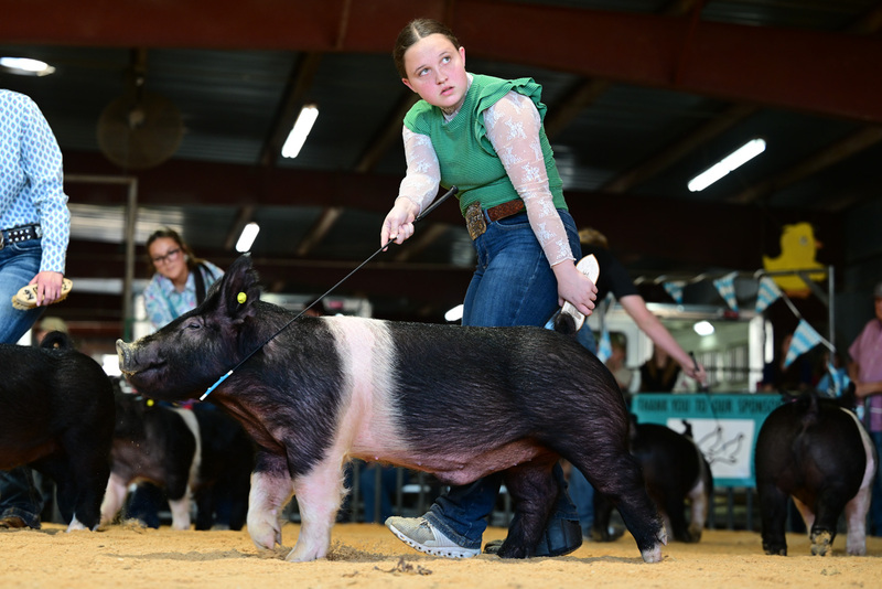 25GTT- RingAHamps-8595.jpg