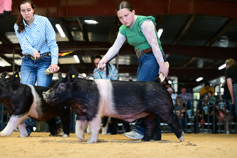 25GTT- RingAHamps-8596.jpg