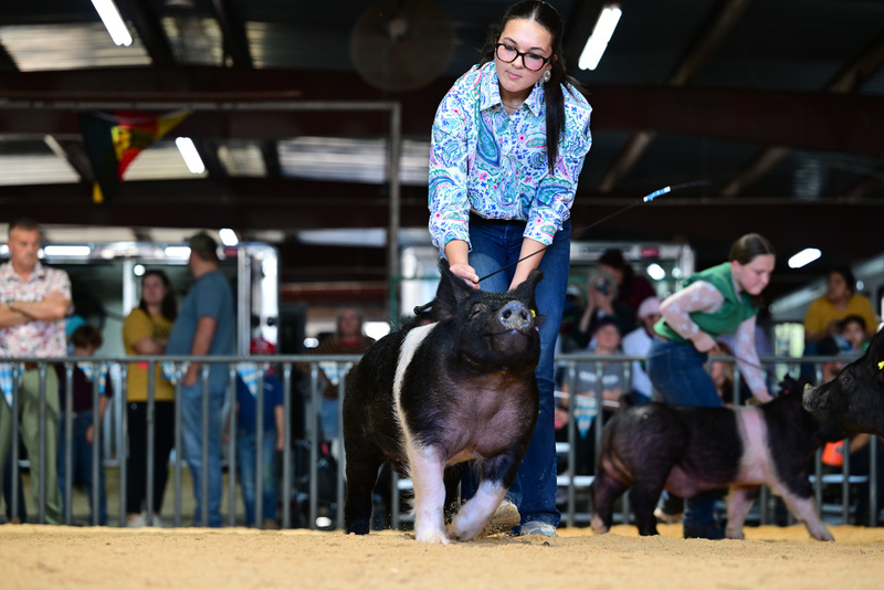 25GTT- RingAHamps-8597.jpg