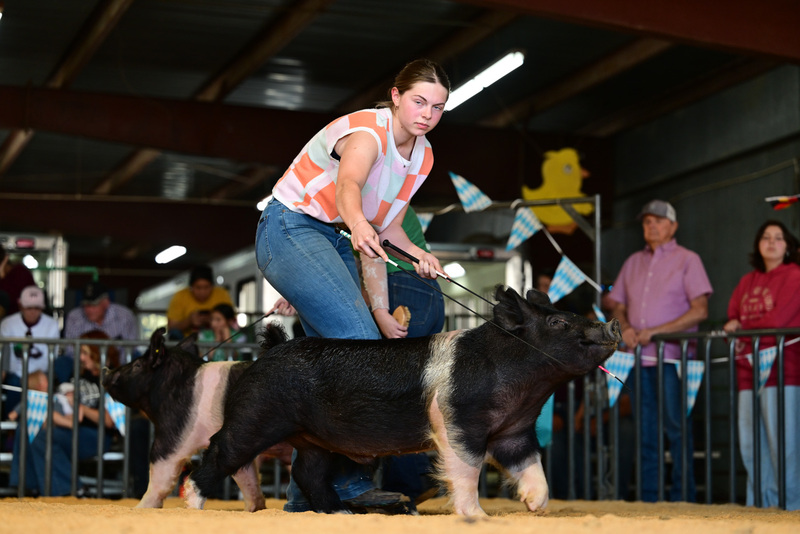 25GTT- RingAHamps-8600.jpg