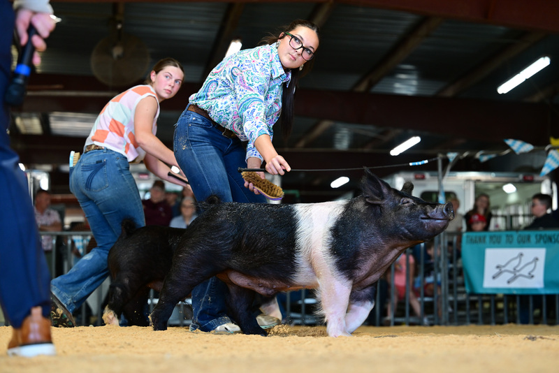 25GTT- RingAHamps-8603.jpg